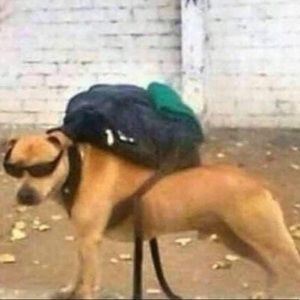 Meet your Posher, Kathleen